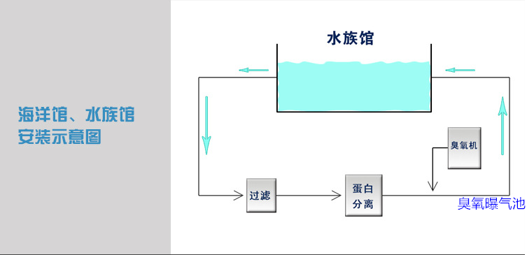 海洋館過濾，蛋分，臭氧，曝氣池.png